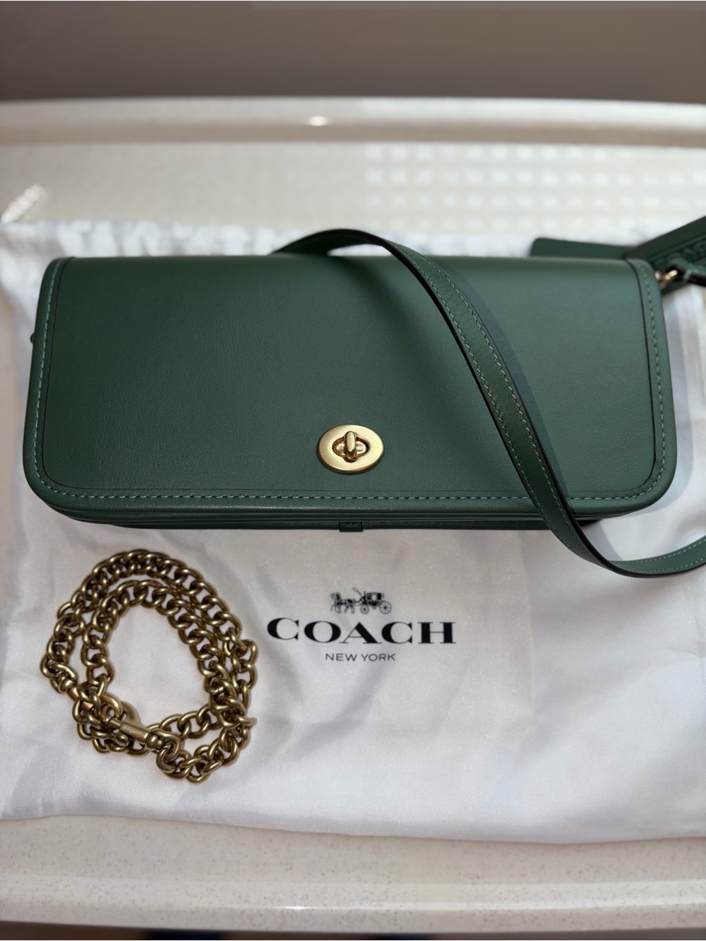 Coach Originals Dinky Leather Shoulder Bag Hunter Green Chain Strap CW641 NWT